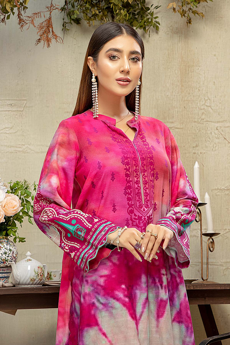 2 Pc Printed Khaddar Suit CPM21-09