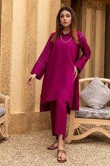 2 Pc Embroidered Lawn CTA22-02